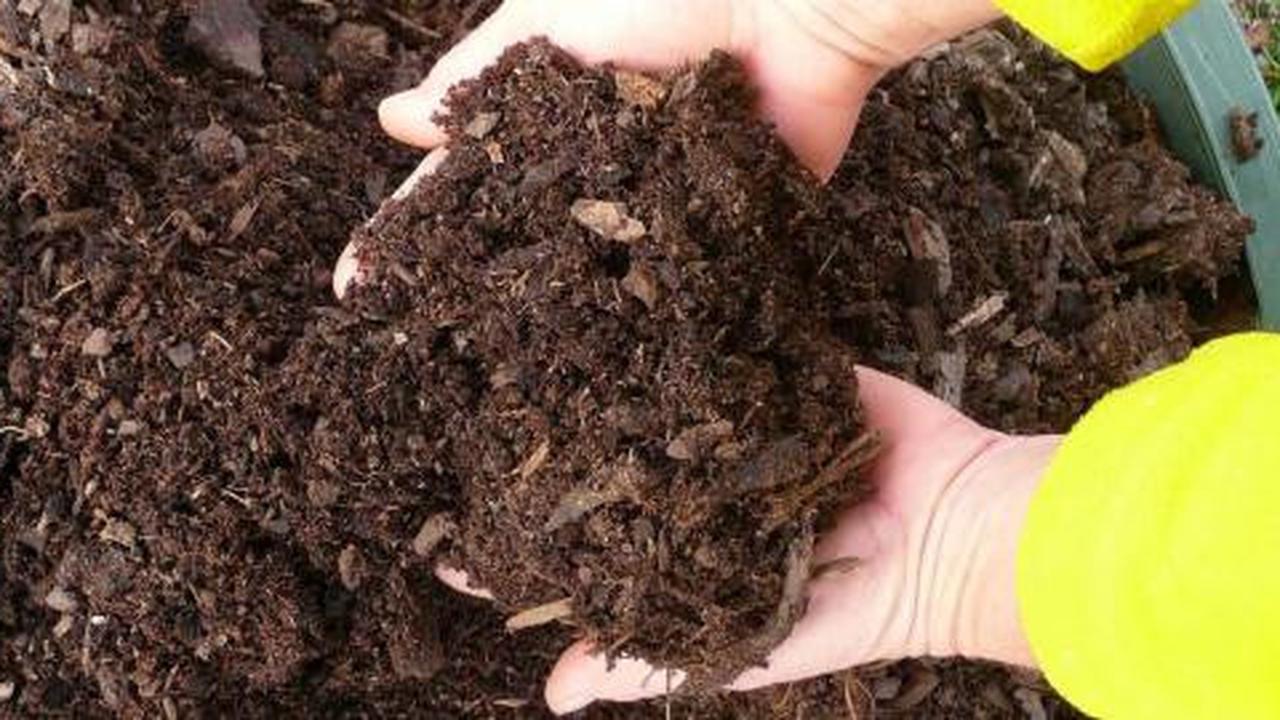 Membuat campuran tanah pot yang berkualitas