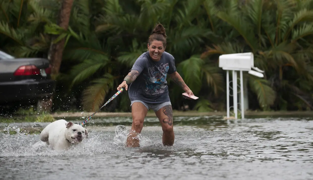 Darcelle Jacobs dan anjingnya berjalan dalam banjir di sepanjang jalan Pantai Fort Myers, Florida, Senin (31/7). Untungnya, tidak ada korban jiwa akibat badai tropis Emily. (The News-Press via AP/Andrew West)