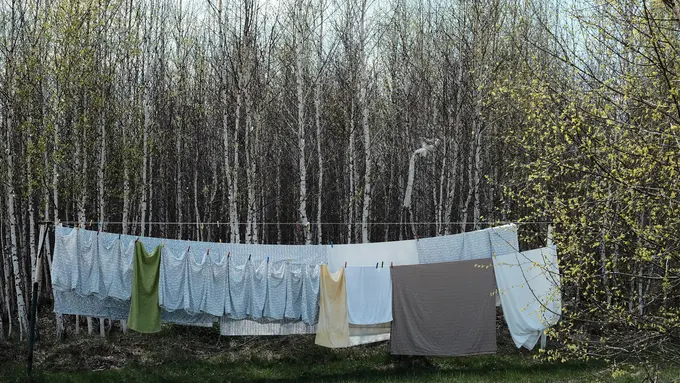 Mencuci sprei/Unsplash dmitry