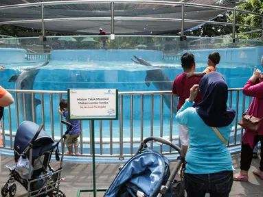 Pengunjung mengamati akuarium berisi lumba-lumba di Dolphin Bay, Taman Impian Jaya Ancol, Jakarta, Jumat (14/4). Wahana tersebut menjadi sarana edukasi sekaligus mengenalkan lebih dekat lumba-lumba kepada para pengunjung. (Liputan6.com/Faizal Fanani)