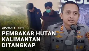 Pembakar Hutan Kalimantan Ditangkap