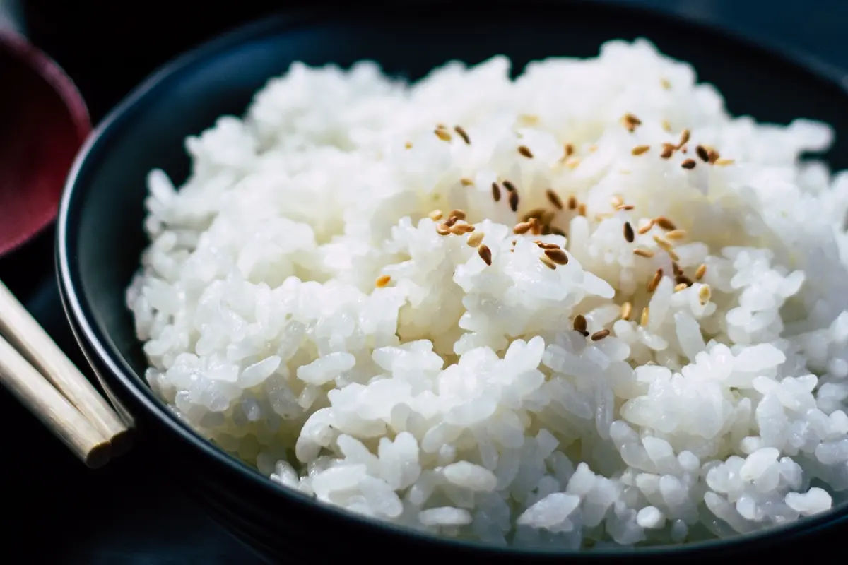 Nasi putih