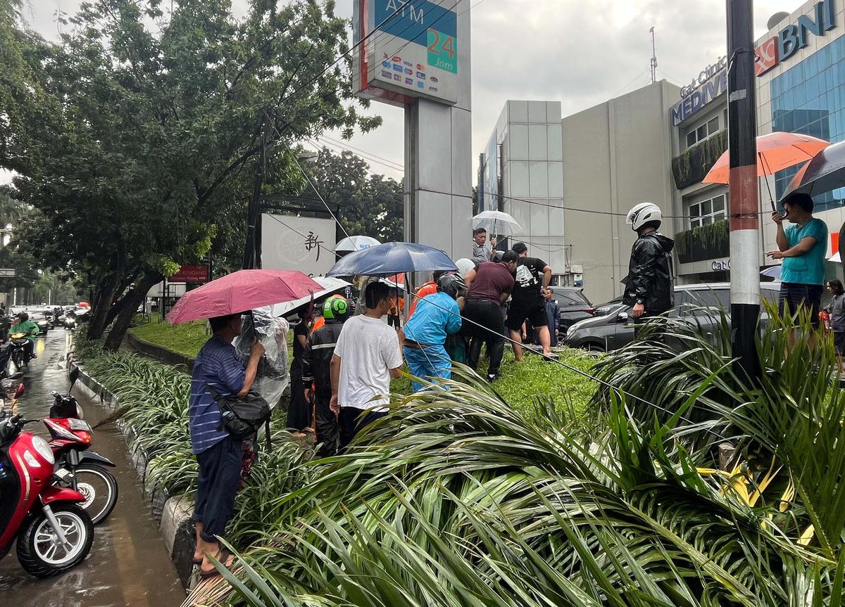 FOTO: Pohon Tumbang Timpa Mobil Mewah di Pondok Indah, Supir Tewas di Tempat