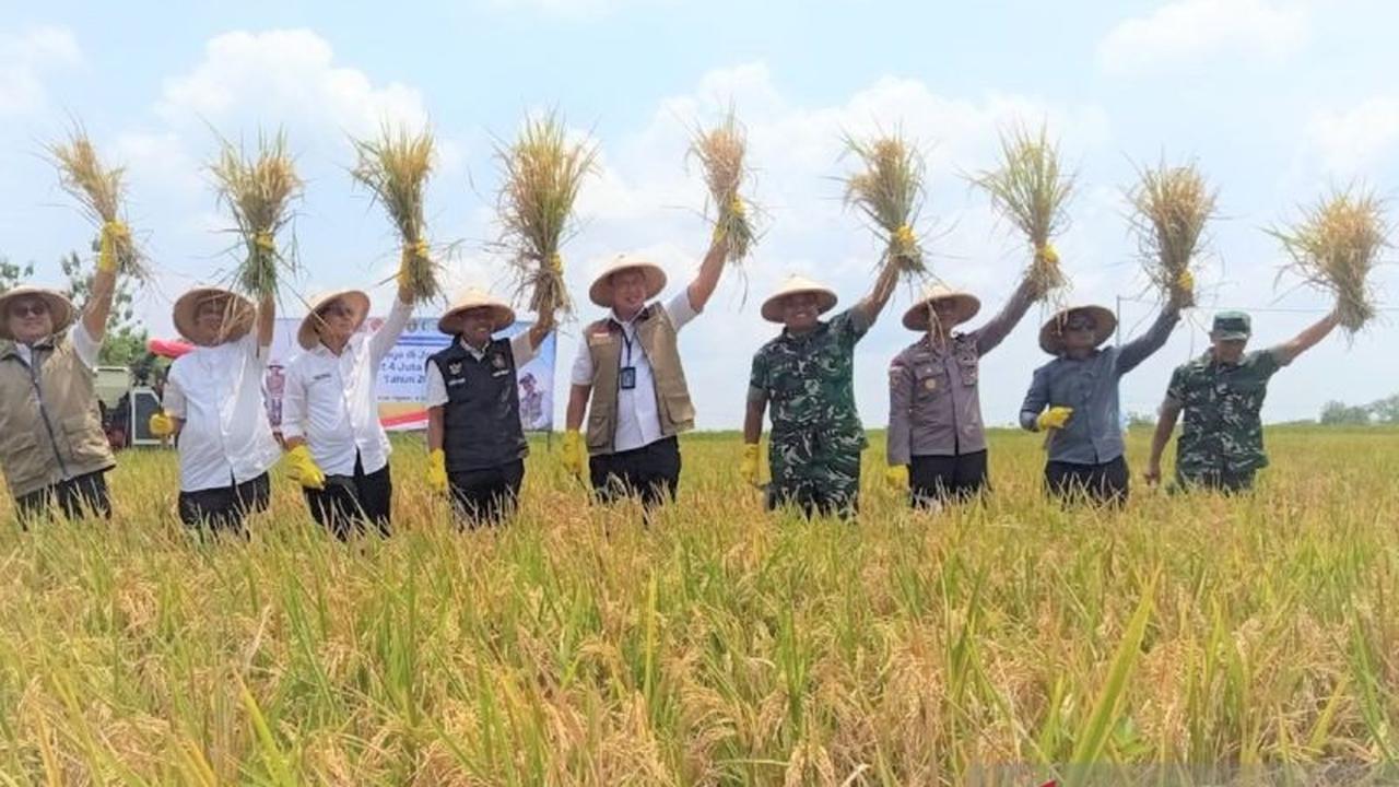 Dirut Bulog Pastikan Target Penyerapan Beras 4 Juta Ton Tahun 2026 Tercapai