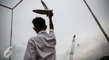 Seorang remaja mengepakan burung merpati betina agar merpati pasangannya menghampiri saat berlatih adu ketangkasan di Sunter, Jakarta, Selasa (29/11). Burung merpati atau yang biasa disebut burung dara ini banyak dipelihara. (Liputan6.com/Faizal Fanani)