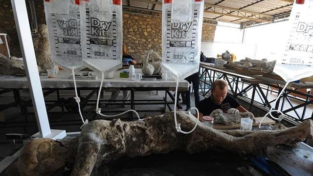 kisah nyata alam akhirat Kisah Nyata Anak Manusia yang Berubah Menjadi Batu 
