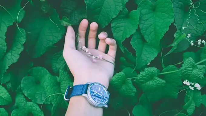 Ilustrasi. | Foto: copyright pexels.com