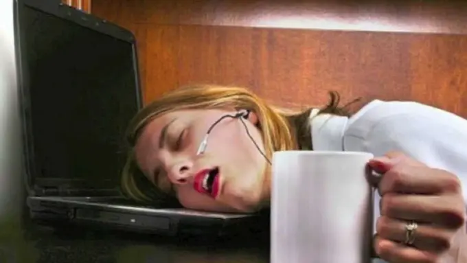 [Bintang] 5 Hal Ini Bakal Dilakukan Kalau Anggap Kantor Kayak Rumah ke-2