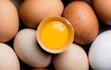 Perbedaan Telur Ayam Omega dan Telur Biasa, Apakah Telur Omega Lebih Sehat?