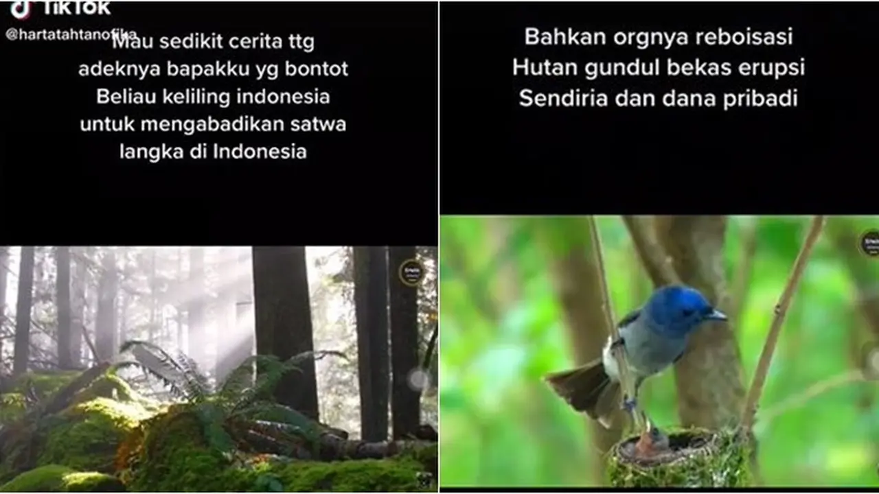 16 Tahun Keliling Indoneisa, Pria Ini Cari Hewan Langka Demi Tujuan Edukasi