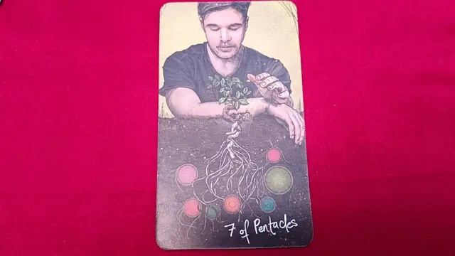 Tarot