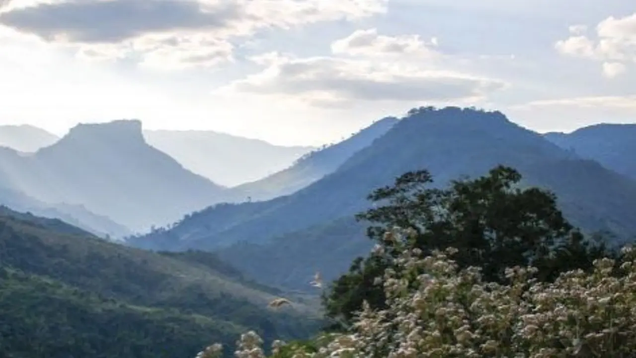 Gunung Phou Louey di Laos
