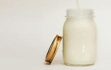 Sejarah Susu dan Kebiasaan Orang Eropa Minum Susu