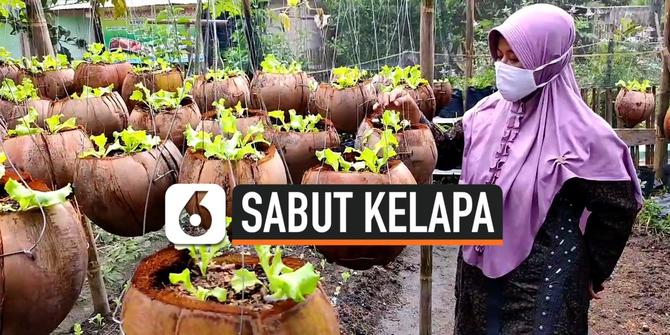 VIDEO: Kreasi Pot Sabut Kelapa Untuk Bertanam Sayuran
