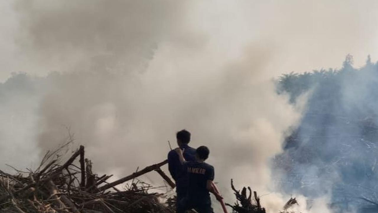 Lokasi yang dibakar berada di Desa Sempol atau di Blok Aren petak 102 E RPH Blawan BKPH Sukosari KPH Bondowoso. Tersangka yang ditangkap berinisial AR (48), warga Desa Sempol, Kecamatan Ijen.