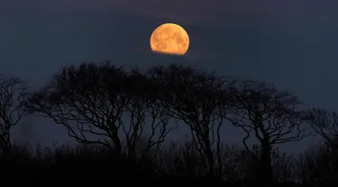 Fenomena super snow moon terlihat di langit Whitley Bay, Inggris, Selasa (19/2). Super snow moon adalah fenomena bulan penuh paling terang sepanjang tahun. (Owen Humphreys/PA via AP)