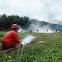 Tangani Hoaks Seputar Karhutla, Pemprov Sumsel Bakal Aktifkan Media Center