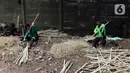 Maka dari itu, konservasi sangatlah dibutuhkan bagi Jakarta yang memiliki sedikit lahan hijau dengan tingkat polusi udara yang cukup tinggi. (Liputan6.com/Herman Zakharia)