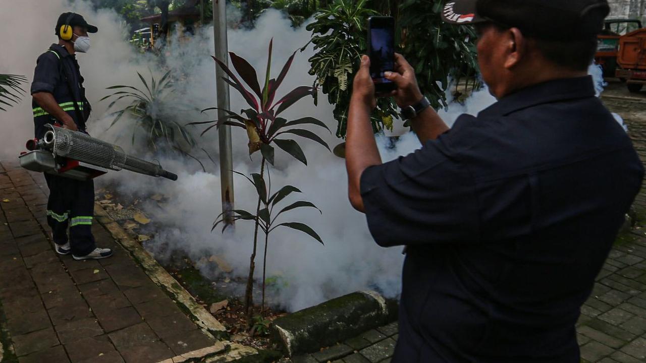Berikut lima kabupate/kota dengan angka kematian DBD tertinggi Tahun 2024:<br>