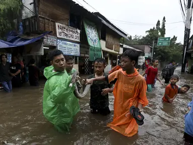 Warga menunjukkan ular yang ditemukan saat banjir di Jalan Hang Lekir, Kebayoran Lama, Jakarta Selatan, Rabu (1/1/2020). Banjir tersebut disebabkan karena tingginya intensitas hujan yang mengguyur sejak Selasa (31/12/2019). (Liputan6.com/Johan Tallo)