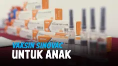 vertical anak