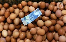 Harga Telur Ayam di Pasar Senen Naik, Cek Rinciannya