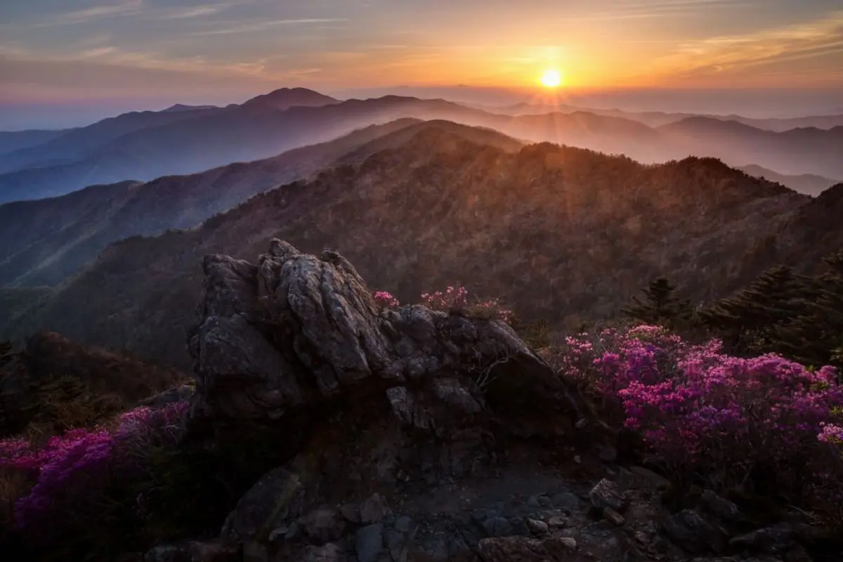 [Bintang] Korea Selatan