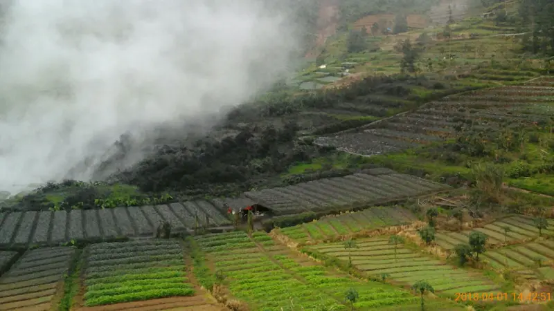 Kawah Sileri meletus setinggi 150 meter dengan jarak lontak material sekitar 50 meter dari bibir kawah. (Foto: Liputan6.com/BPBD Banjarnegara/Muhamad Ridlo)