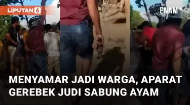 Praktik judi sabung ayam dibubarkan oleh aparat mengundang perhatian