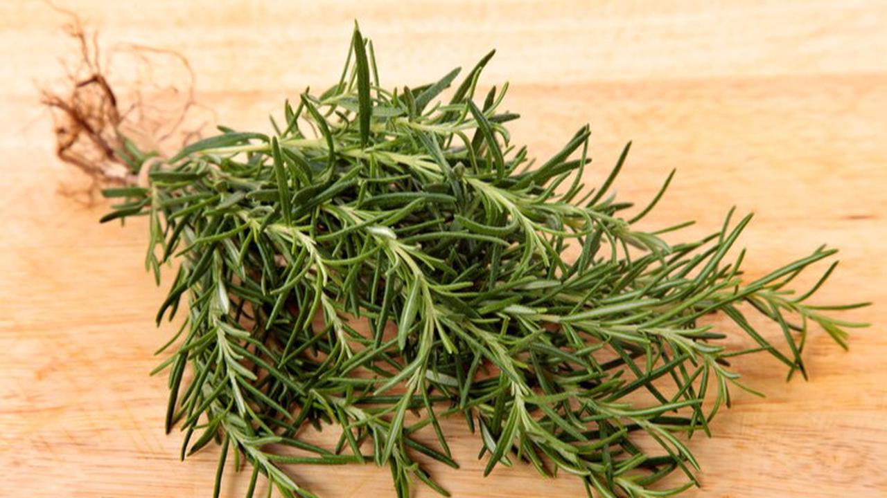 rosemary