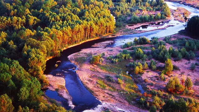 Merayakan Hari Menanam Pohon Nasional yang ke 41 tahun di China, Inilah 5 Hutan China yang Paling Indah