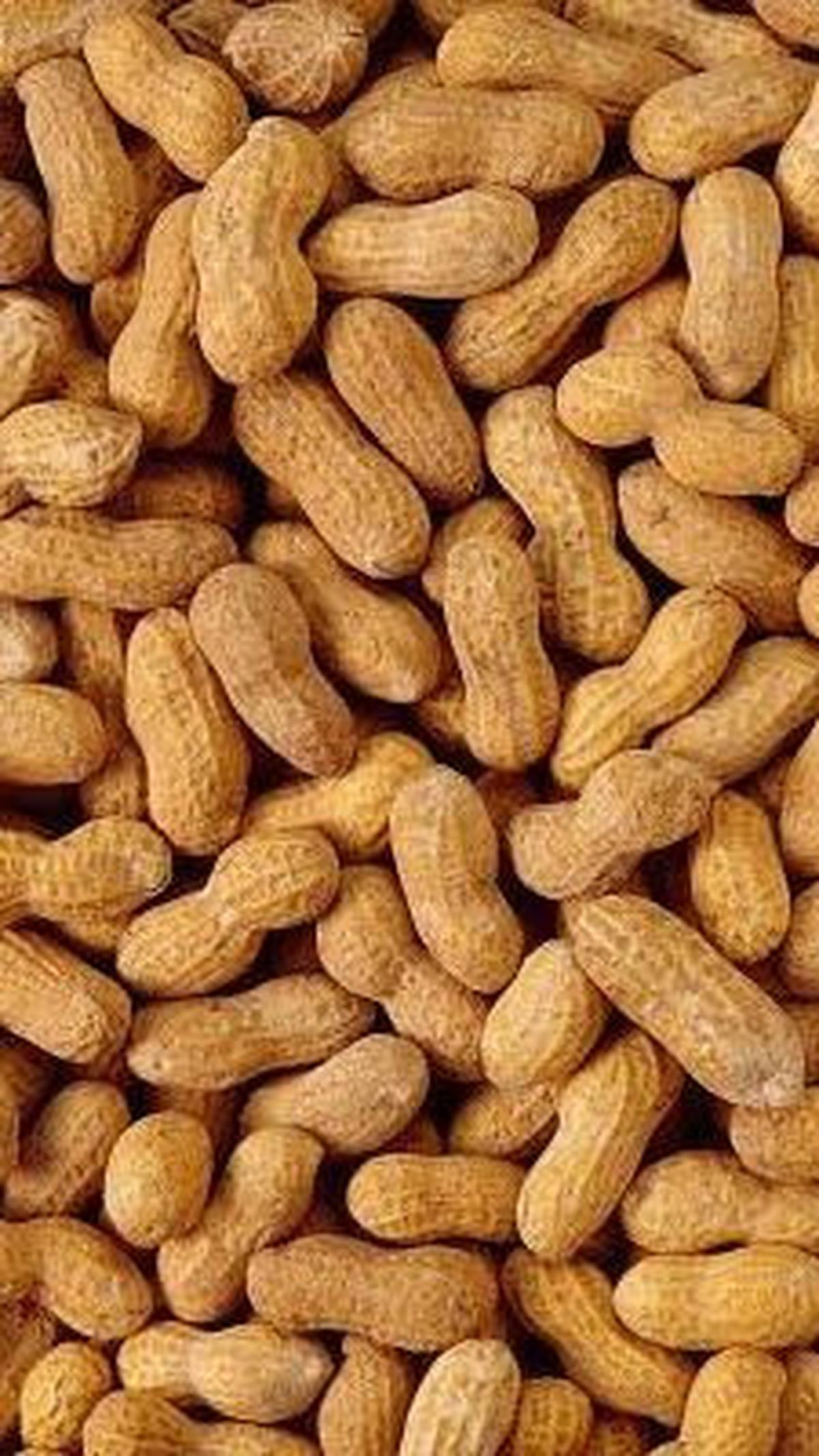 Kandungan di dalam Kacang Tanah