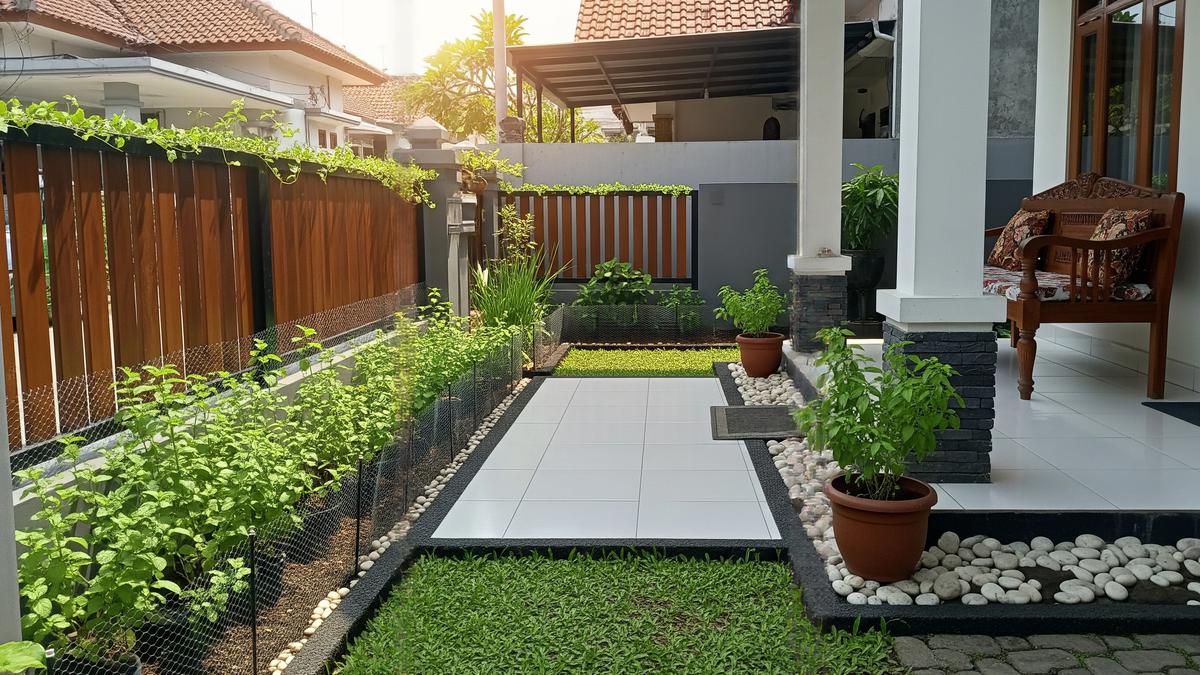 10 Penataan Pekarangan yang Mengurangi Risiko Tikus Masuk di Sekitar Rumah