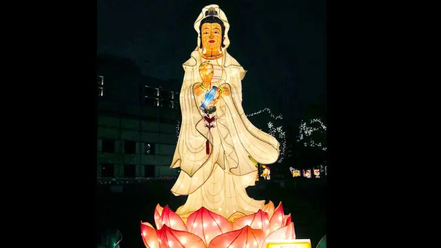 (c) shuflies.blogspot.com