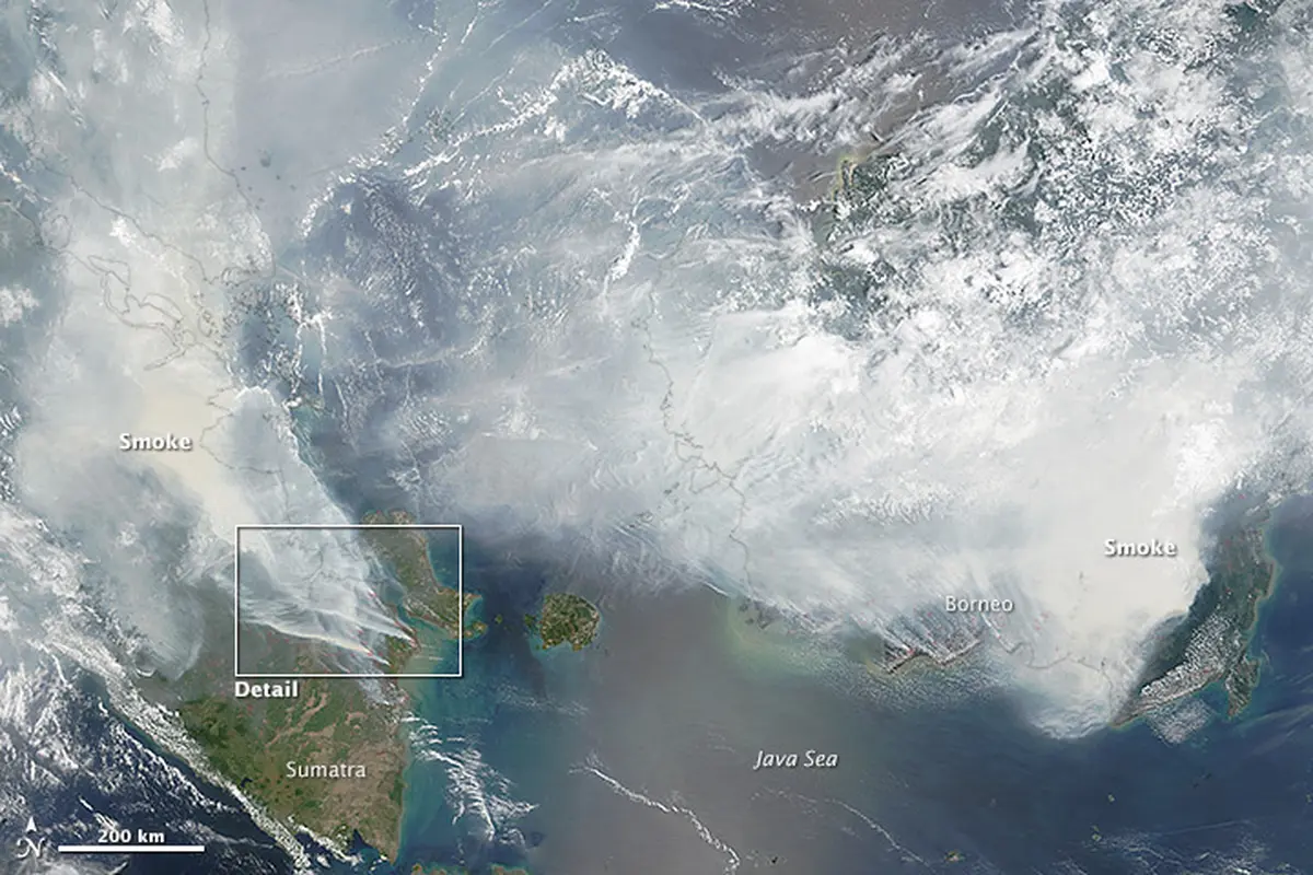 Citra kabut asap yang diambil dari instrumen Moderate Resolution Imaging Spectroradiometer (MODIS) NASA