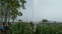 Warga berkerumun di sekitar lahan jagung di dekat lokasi semburan air di Desa Sidolaju, Kecamatan Widodaren, Kabupaten Ngawi, Rabu (8/8 - 2018). (Solopos.com/Madiunpos.com/Abdul Jalil)