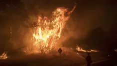 Kebakaran hutan dahsyat melanda California, Amerika Serikat, Sabtu (8/7). Kebakaran terjadi akibat kekeringan panjang yang terjadi selama lima tahun terakhir. (AP Photo / Noah Berger)