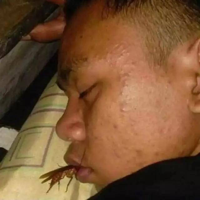 6 Momen Apes Tidur Diganggu Hewan Bikin Elus Dada