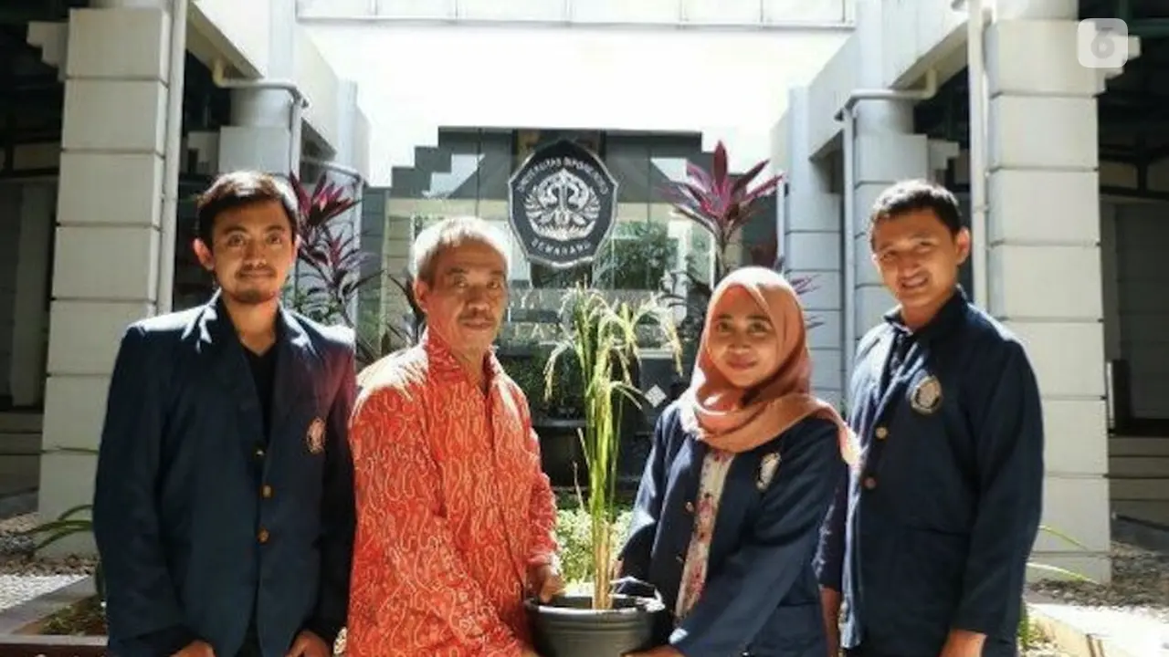 undip