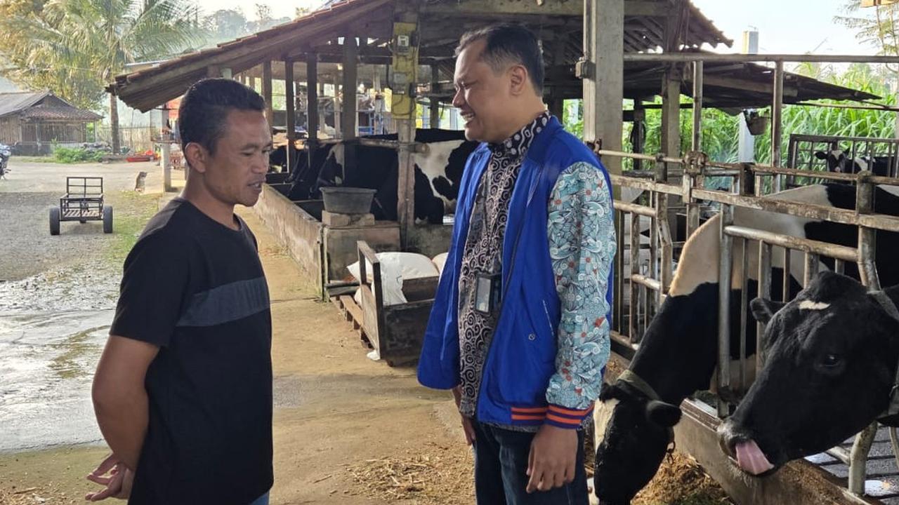 BRI Salurkan Rp99,31 Triliun KUR, Dorong Pertanian, Ketahanan Pangan & UMKM Naik Kelas