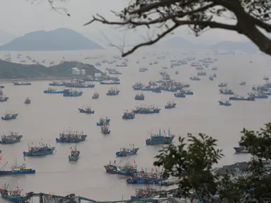 Kapal-kapal penangkap ikan berangkat dari Pelabuhan Shipu di Ningbo, Provinsi Zhejiang, China, 16 September 2020Kapal-kapal penangkap ikan berangkat dari sejumlah pelabuhan di Provinsi Zhejiang pada Rabu (16/9) siang waktu setempat. (Xinhua/Zhang Peijian)