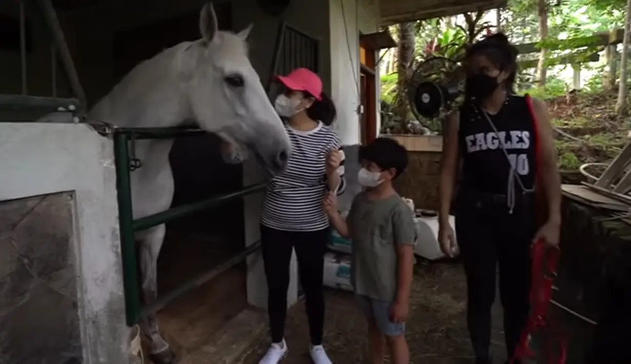 Kuda baru Nagita Slavina (Youtube/ Rans Entertainment)