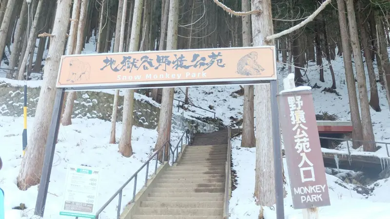 Snow Monkey Park