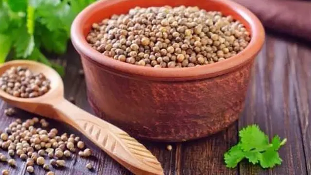 Biji Ketumbar. (foto: Pinterest).