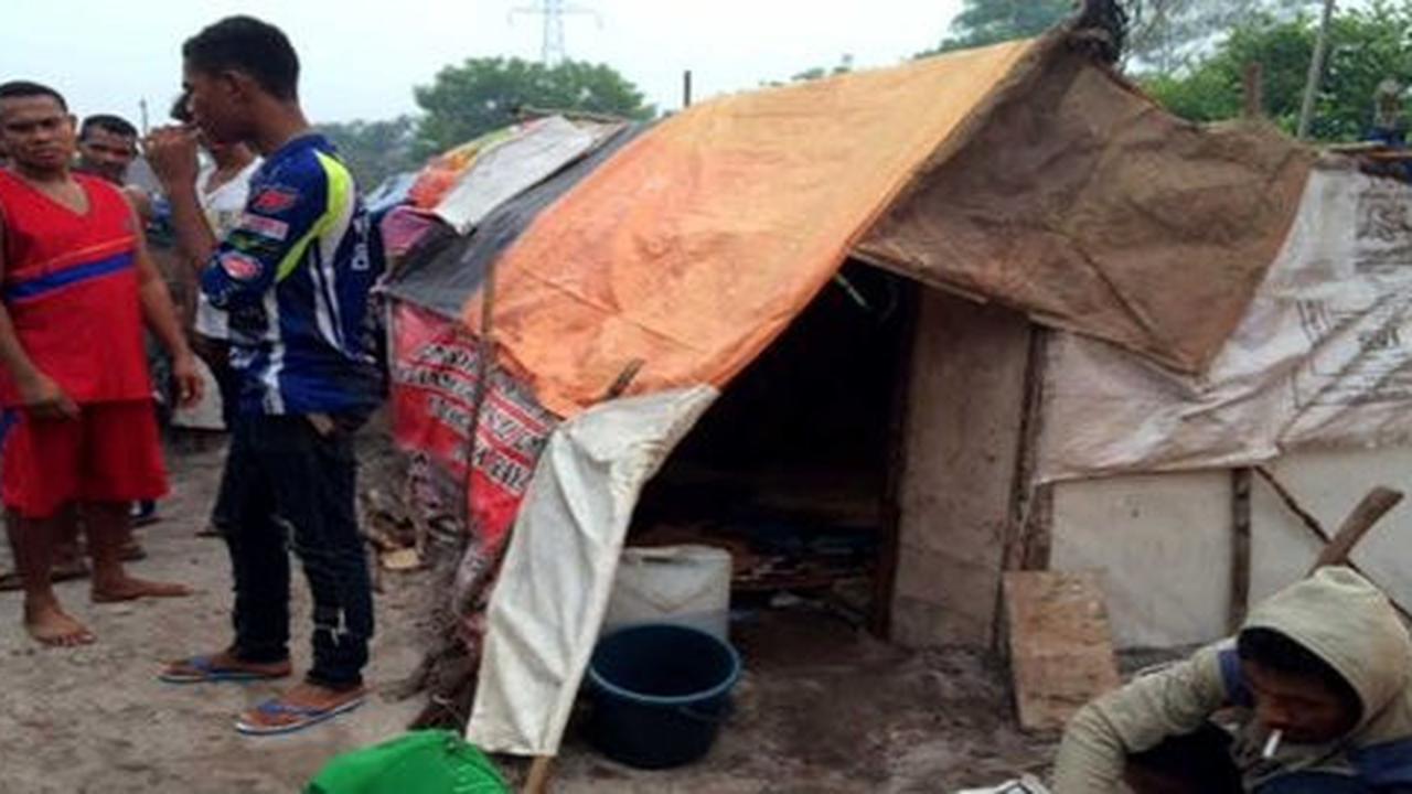 Derita buruh NTT di Palangkaraya, tinggal di gubuk dan kena PHK