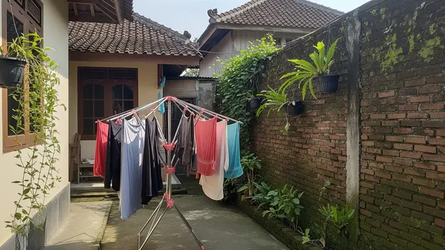 Ide Rak Jemuran Lipat untuk Belakang Rumah Sempit Model Payung