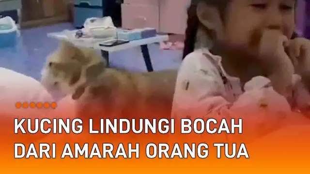 Anggapan hewan yang setia kerap kali ditujukan pada anjing. Terlebih saat sang majikan sedang dalam bahaya, anjing kerap jadi penyelamat. Namun kucing berikut ini coba membuktikan kesetiaannya layaknya anjing. Kucing belang oranye ini terekam berusah...