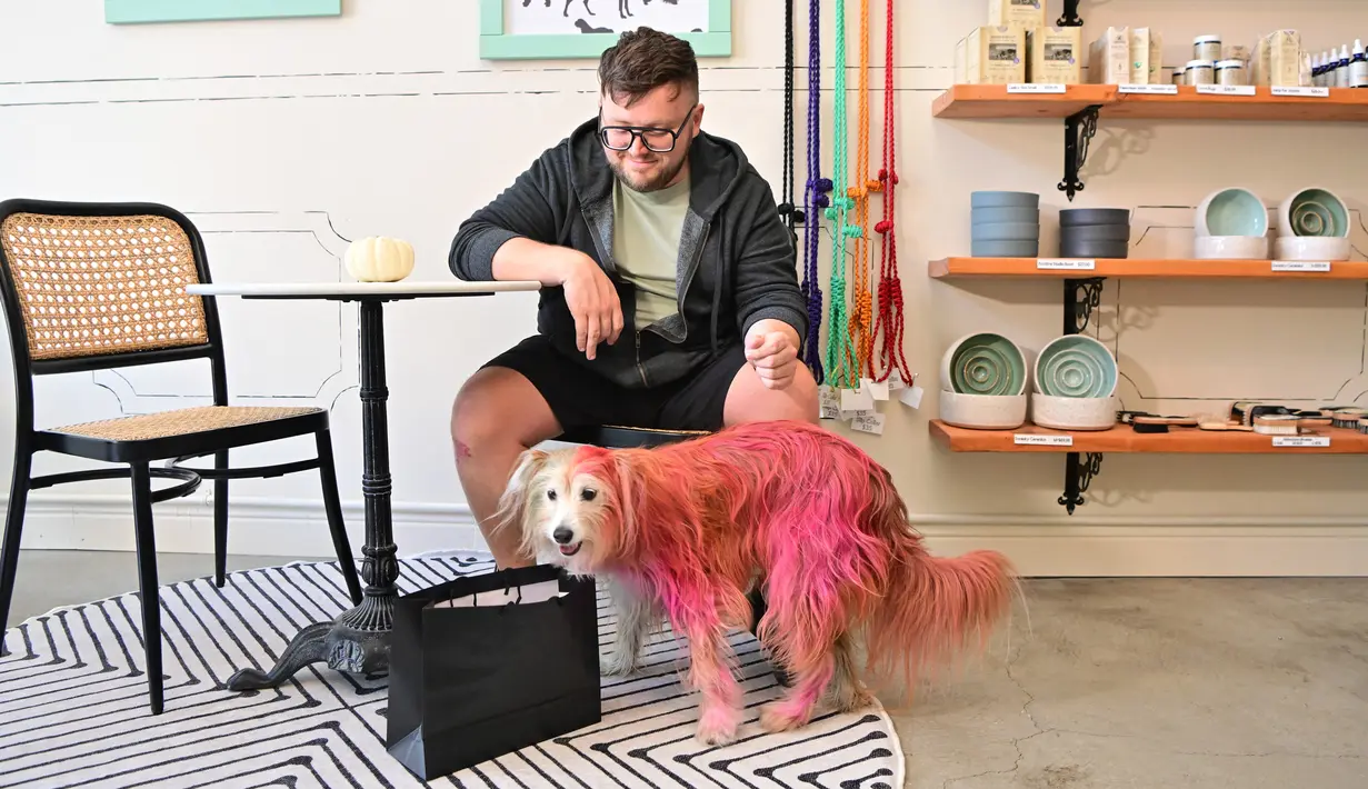 Joey Lake memberi makan anjingnya, MJ, dengan kue ayam suwir Petit Chateau di restoran untuk anjing Dogue, San Francisco, California, Amerika Serikat, 5 Oktober 2022. Dogue yang dibuka pada 25 September lalu tersebut  hanya menyajikan makanan khusus anjing. (JOSH EDELSON/AFP)