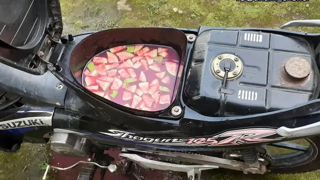 7 Potret Nyeleneh Isi Bagasi Motor Ini Bikin Heran, Ada yang Simpan Ayam