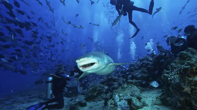 6 Liburan Seru yang Dapat Memacu Adrenalin